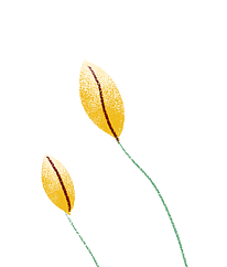 Decorative Yellow flowers