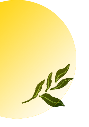 Decorative sun and leaves