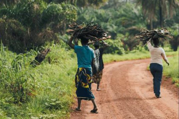 Women’s Organizations and Climate Finance: Engaging in Processes and Accessing Resources