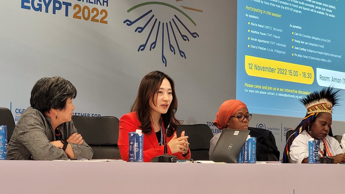 In case you missed it: Highlights from our COP27 Side-Event