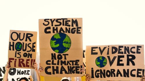 Three light brown colored placards with an illustration of planet Earth made on it. The text on the placards reads, "Our house is on fire", "system change not climate change," "evidence over ignorance"