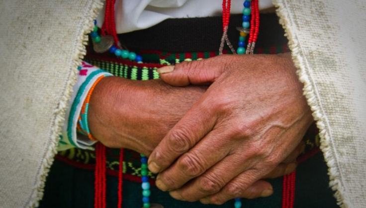 From Local to Global: Indigenous Voices in Climate Dialogues