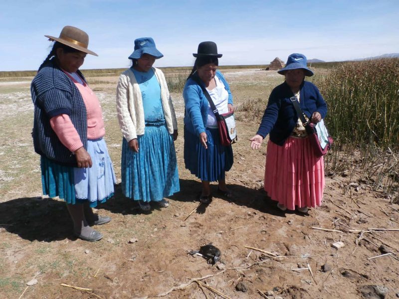 Defending the rights of Mother Earth in Bolivia