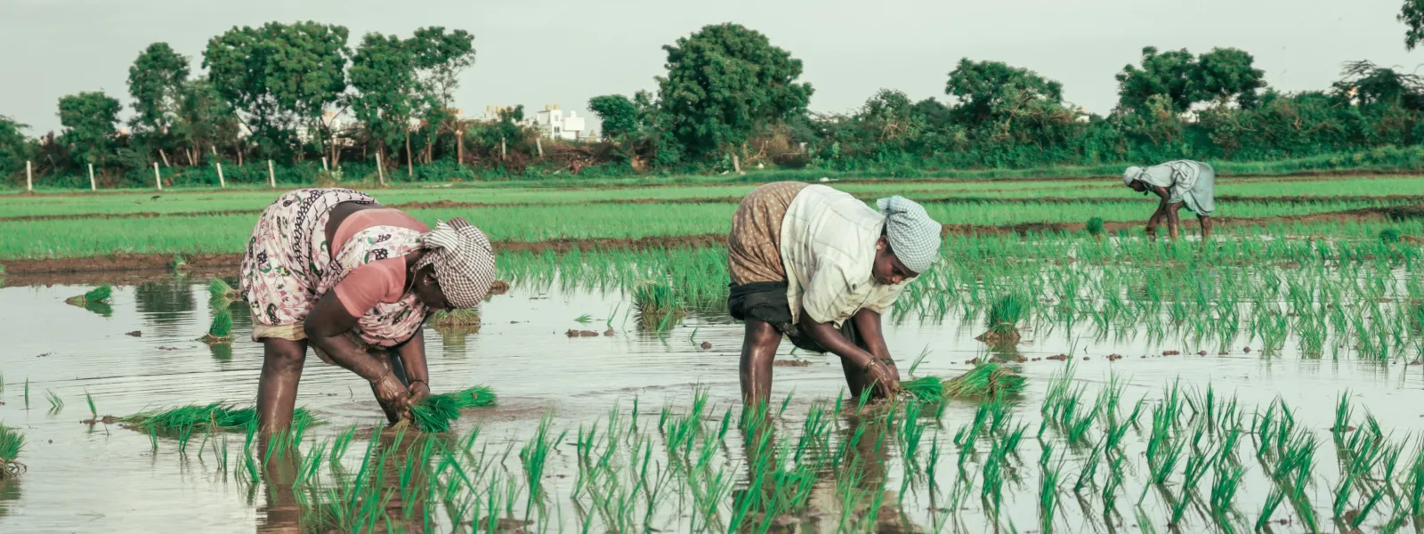Small investments with great impacts. Territorial gender-just climate solutions